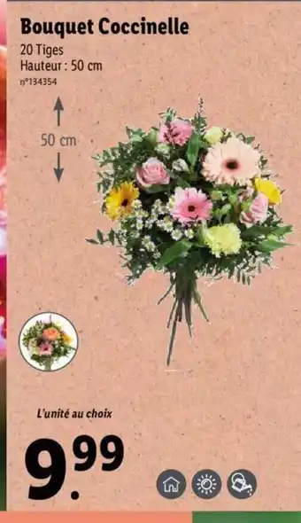 Lidl Bouquet Coccinelle offre