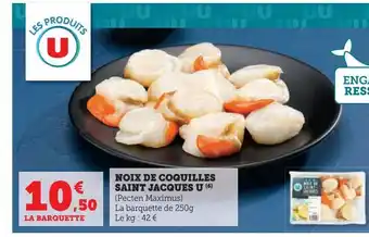 Super U Noix de coquilles saint jacques u offre