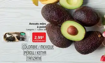 Colruyt Avocats mûrs à point offre