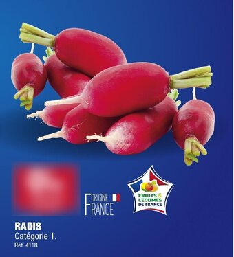 ALDI Radis offre