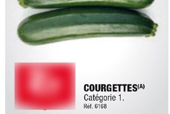Courgettes