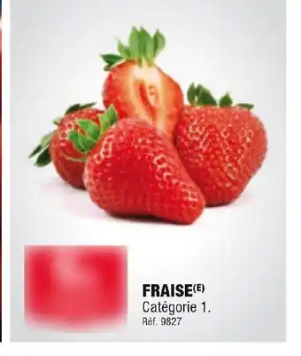 Fraise