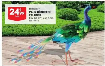 ALDI Paon Décoratif En Acier offre