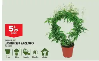 ALDI Jasmin Sur Arceau offre