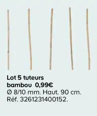 Castorama Lot 5 Tuteurs Bambou offre