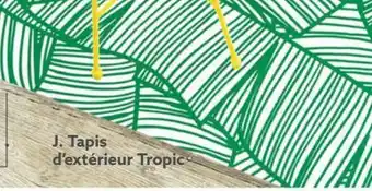 Gifi Tapis d`exterieur tropic offre