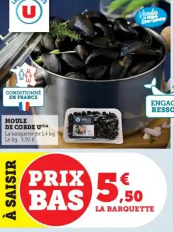 Moule de corde u