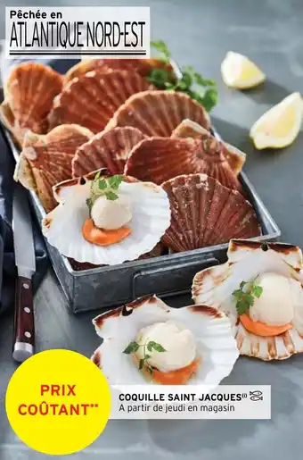 Intermarché Coquille saint jacques offre