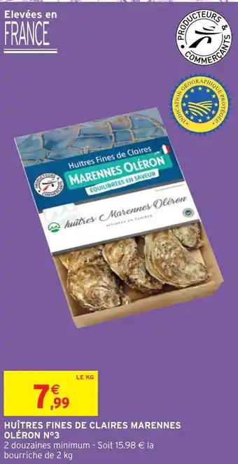 Huîtres fines de claires marennes oléron N3