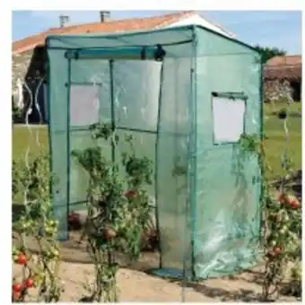 Point Vert Serre tomate 200x80x200cm offre