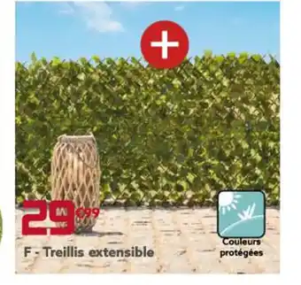 Gifi Treillis extensible offre