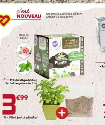 Gifi Mini pot a planter offre