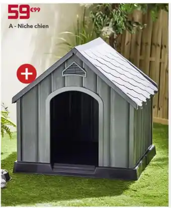 Niche chien