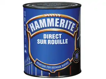 Peinture métal direct sur rouille hammerite forgé gris zinc 2,5l