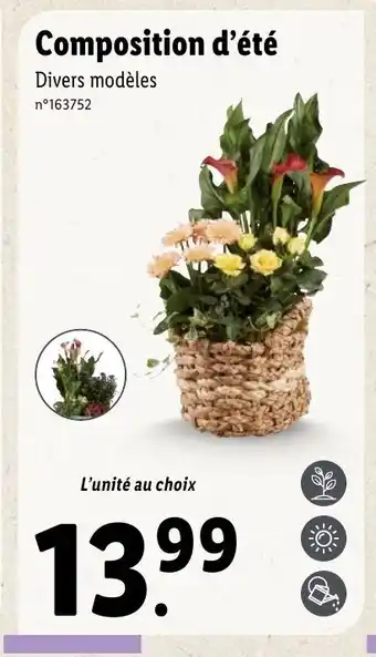Lidl Composition d'été offre