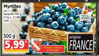 Norma Myrtilles offre