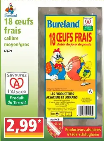 Norma 18 œufs frais offre