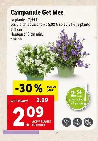 Lidl Campanule Get mee offre