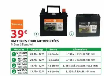 Rural Master Batteries pour autoportees offre
