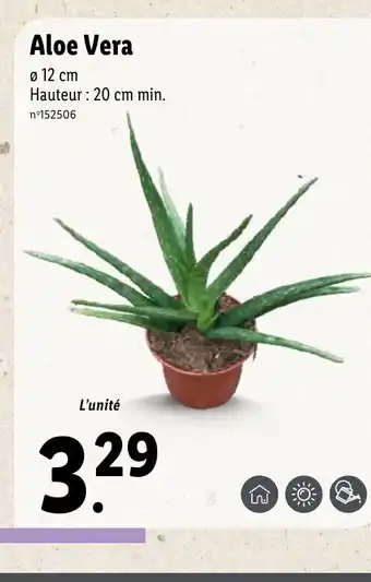 Lidl Aloe Vera offre