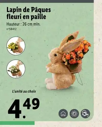 Lidl Lapin De Paques Fleuri En Paille offre