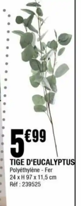 La Foir'Fouille Tige D'Eucalyptus offre
