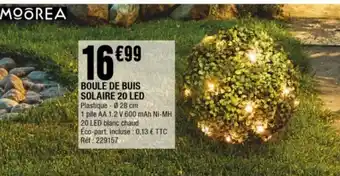 La Foir'Fouille Boule de Buis Solaire 20 LED offre