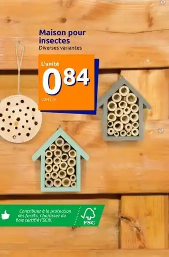 Action Maison Pour Insectes offre