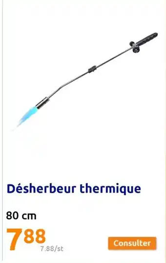 Action Désherbeur Thermique offre