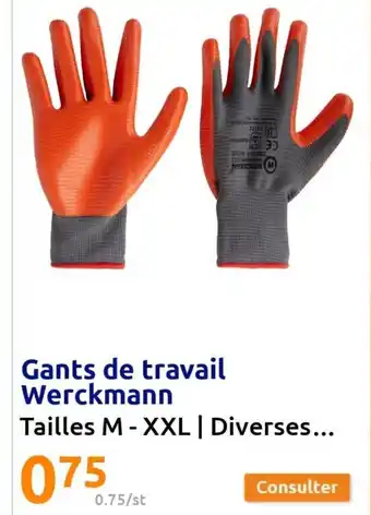 Action Gants de Travail Werckmann offre