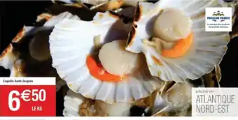 Coquille Saint-Jacquest