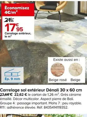 Castorama Carrelage Sol Extérieur Dénali 30x60 cm offre