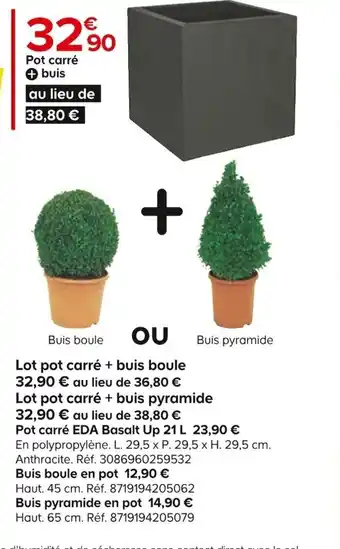 Castorama Lot Pot carré + Buis Boule offre