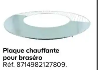 Plaque Chauffante Pour Braséro