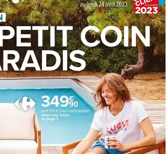 Carrefour Salon bas tokyo offre