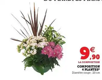 Hyper U Composition 4 Plantes offre