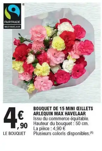 E.Leclerc Bouquet De 15 Mini œillets Arlequin Max Havelaar offre
