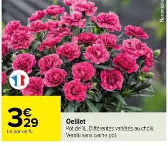 Oeillet