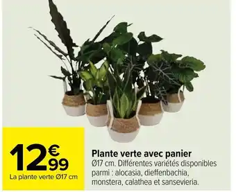 Carrefour Plante verte avec panier offre
