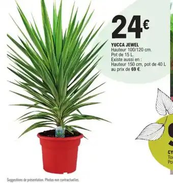 E.Leclerc Yucca jewel offre