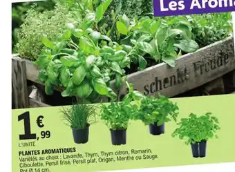 E.Leclerc Plantes aromatiques offre