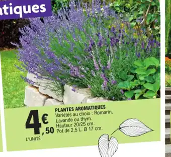 E.Leclerc Plantes aromatiques offre