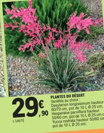 E.Leclerc Plantes ou desert offre