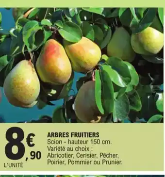 Arbres fruitiers