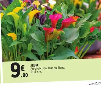 E.Leclerc Arum offre