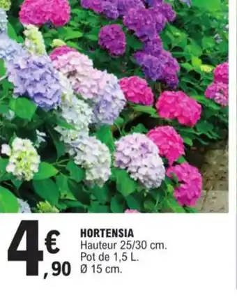 E.Leclerc Hortensia offre