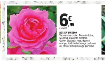 E.Leclerc Rosier buisson offre