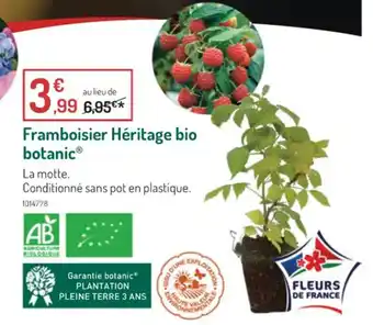 Framboisier heritage bio botanic