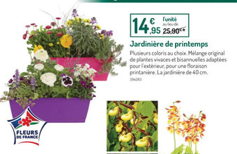 Botanic Jardinière de printemps offre