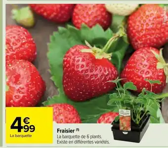 Fraisier